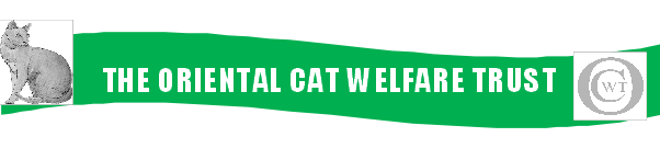 Oriental Cat Welfare Trust